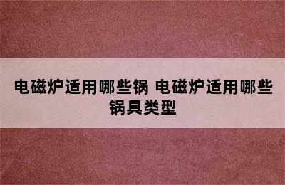 电磁炉适用哪些锅 电磁炉适用哪些锅具类型